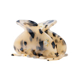 Large Hair Claw Honey Tortoise - Turtle