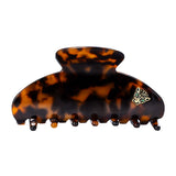 Large Hair Claw Tortoise - Jaguar
