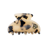 Medium Hair Claw Honey Tortoise - Jaguar