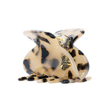 Medium Hair Claw Honey Tortoise - Jaguar