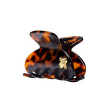 Medium Hair Claw Tortoise - Bee