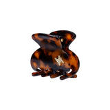 Small Hair Claw Tortoise - Bolt
