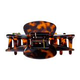 Large Hair Claw Tortoise - Jaguar